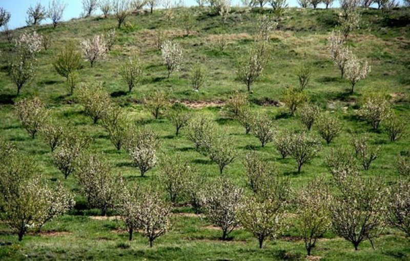 تصویر نمادین از اراضی شیب‌دار