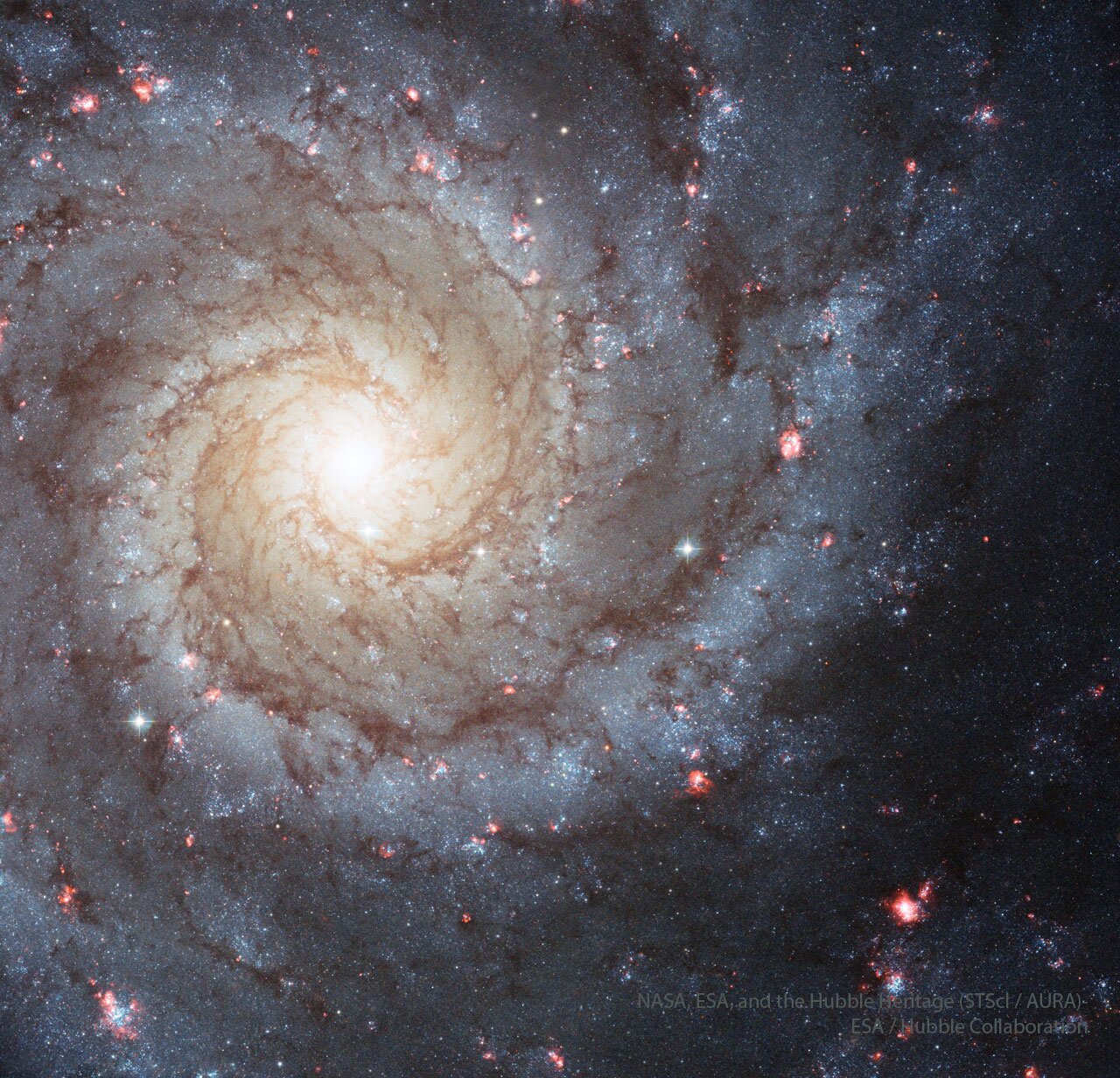 تصویر کهکشان مارپیچی NGC 300
